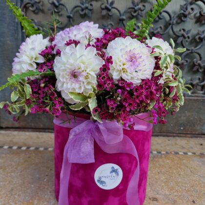 Aranjament cu Dalii si Floarea de Ceară Raspberry Ripple