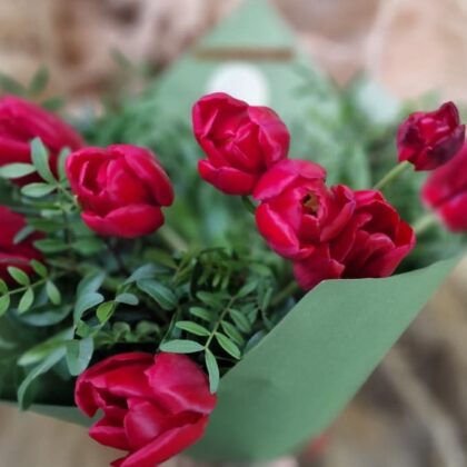 Buchet din Lalele Roșii Red Tulips