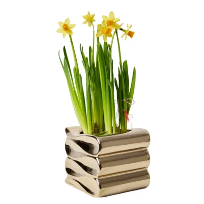 Aranjament Floral de Primavara cu Bulbi de Narcise